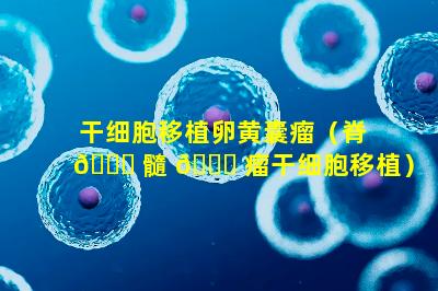干细胞移植卵黄囊瘤（脊 🐕 髓 🐕 瘤干细胞移植）
